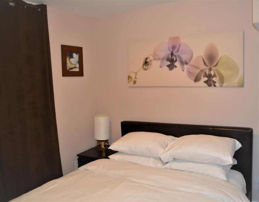 Beautiful And Spacious Basement Apartment 브램턴 외부 사진